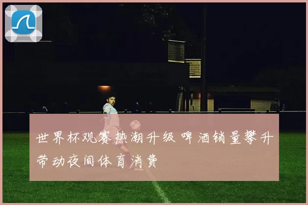 世界杯观赛热潮升级 啤酒销量攀升带动夜间体育消费